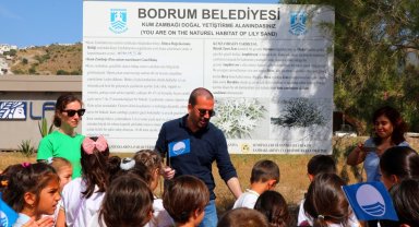 Bodrum Belediyesi'nden öğrencilere kum zambağı farkındalık etkinliği
