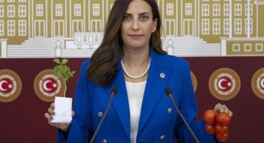 DEVA Partili Rızvanoğlu’ndan Tarım Bakanı’na pestisit uyarısı