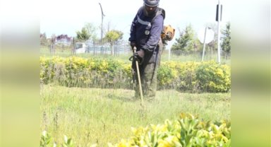 Giresun’da ot biçme ve temizlik çalışmaları hız kazandı