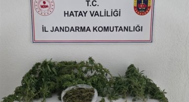 Hatay’da uyuşturucu ve kaçakçılık operasyonları