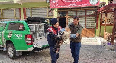 Karaman'da yaralı bulunan Leylek tedavi altına alındı