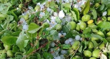 Kaymakam Yeşilyurt: dolu felaketinden 10 mahallemiz ciddi şekilde etkilendi
