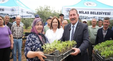 Milas'ta fide dağıtımı gerçekleştirildi