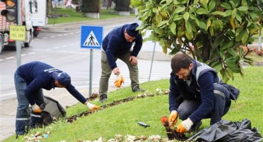 Tonami meydanı yaza hazırlanıyor
