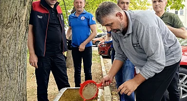 Bursa'nın su kaynaklarına 2,2 milyon sazan balığı bırakılacak