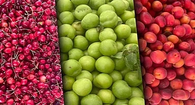 Tarım ÜFE aylık azaldı, yıllık arttı! En yüksek artış yumuşak ve sert çekirdekli meyvelerde