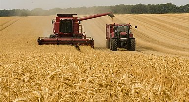 19 – 23 Ocak haftası tarım ürünleri piyasası