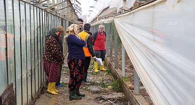 Antalya’da afetten zarar gören seralarda hasar tespiti yapılıyor