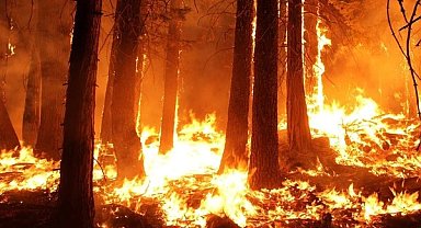 Antalya'da orman yangını