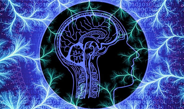 Araştırma: Erkeklerin cinsel isteği, inanışın aksine 40 yaşında zirveye ulaşıyor