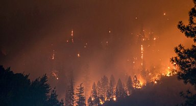 Avustralya'da sıcak hava dalgası başladı, yetkililer yangın riski uyarısında bulundu