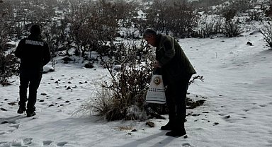 Batman’da yaban hayvanları için doğaya yem bırakıldı