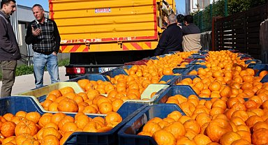 Bodrum Mandalini Türkiye’nin dört bir yanına ulaşıyor