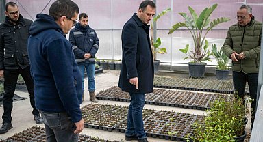 Bornova Belediyesi, fidanlığında bitki üretimini sürdürüyor