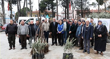 Büyükşehir’den Ula’da üreticiye zeytin ve ceviz fidanı desteği