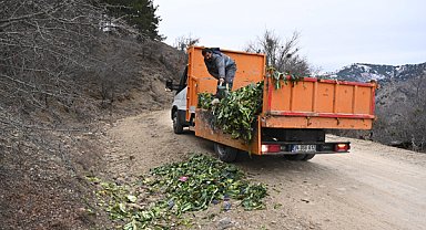 Isparta'da yaban hayvanları için atık yiyecekler ayrıştırılıyor
