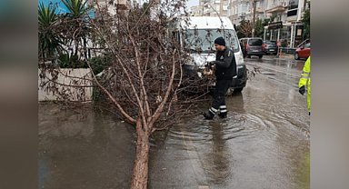 İzmir Büyükşehir Belediyesi ekiplerinin sağanak ve fırtına mesaisi