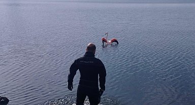 İzmir İtfaiyesi'nden flamingo operasyonu