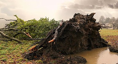 Kocaeli için kuvvetli rüzgar ve fırtına uyarısı