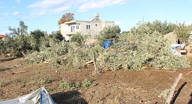 Manavgat’ta hasar tespit çalışması yapıldı