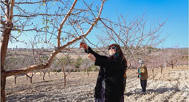 Mersin'de Organik Tarım Sertifikasyon Desteği verildi