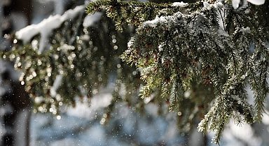Meteoroloji’den Batı Karadeniz'de kuvvetli kar yağışı uyarısı