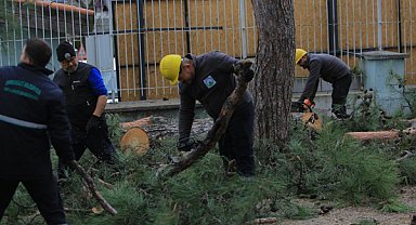 Osmangazi Belediyesi'nden lodosa karşı müdahale