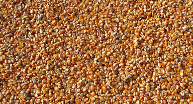 Özova Tarım'dan iş anlaşması