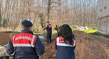 Sakarya’da mevzuata aykırı faaliyet gösteren tavuk çiftliğine ceza ve kısıtlama