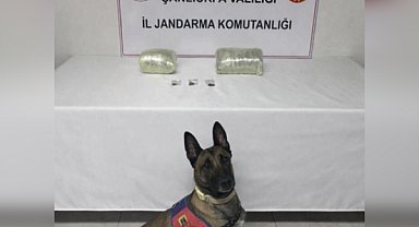Şanlıurfa 'da uyuşturucu operasyonu