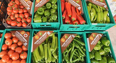 ŞOK Marketler’de pestisit analiz kapsamı genişliyor