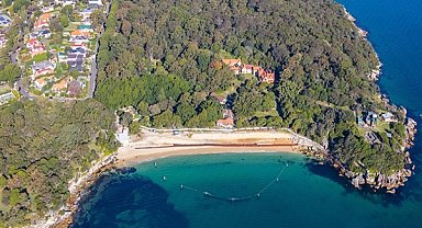 Sydney'de meydana gelen köpekbalığı saldırısında bir çocuk hayati tehlike altında