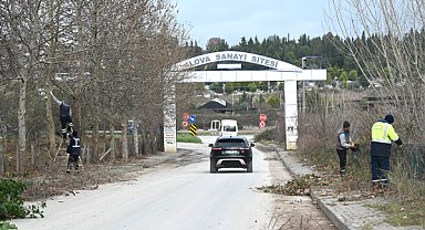Yalova'da saha çalışmaları devam ediyor