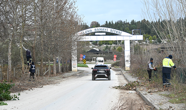 Yalova'da saha çalışmaları devam ediyor