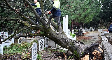 Yalova Şehir Mezarlığı’nda fırtına hasarı