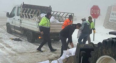 Yayladağı’nda buzlanmaya karşı mücadele 