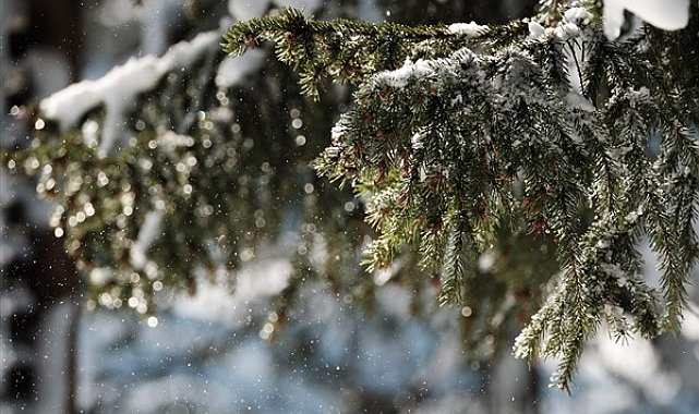 Ağrı’da taşımalı eğitim ve köy okullarına ara