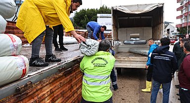 Antalya’da hortum ve fırtınadan zarar gören üreticiye destek 