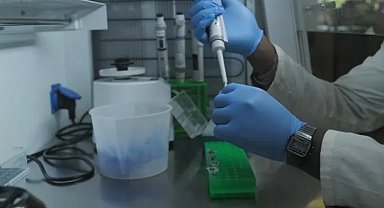 Aslan DNA'sı, kaçak avcıların ilk kez mahkum edilmesine yardımcı oldu