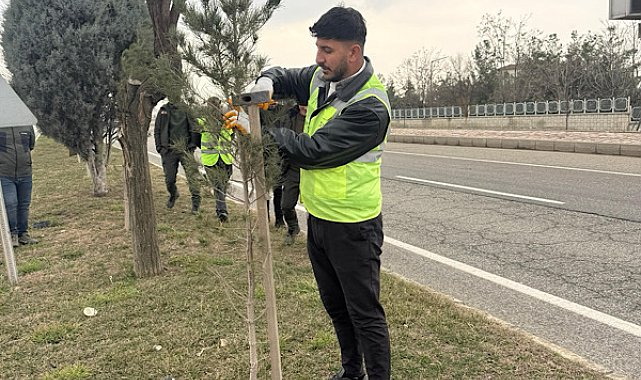Batman’da Yeşil Kuşak Projesi hayata geçirildi