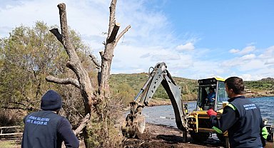 Bodrum’da fırtınada devrilen ağaçlar yeniden dikiliyor