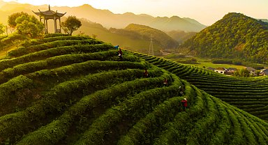 CGTN anketinden tarihi sonuç: Küresel yoksullukla mücadelede Çin’in kilit rolü