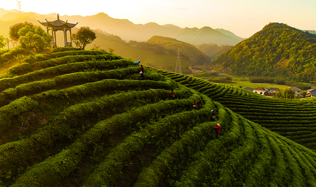 CGTN anketinden tarihi sonuç: Küresel yoksullukla mücadelede Çin’in kilit rolü