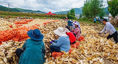 Çin’de köylülerin kişi başı geliri yüzde 6 arttı