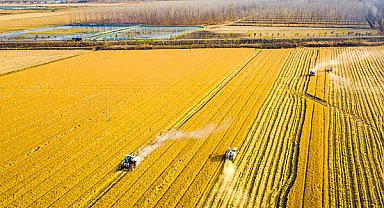Çin, tarımsal modernleşme ve kırsal kalkınma planını açıkladı