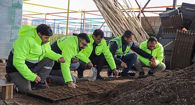 Diyarbakır'da yerel tohum toprakla buluştu