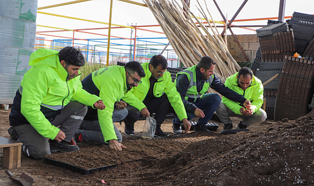 Diyarbakır'da yerel tohum toprakla buluştu