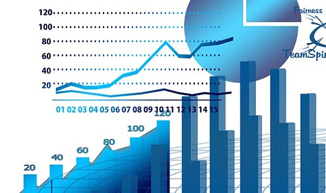 Endekslerde kullanılan fiili dolaşımdaki pay oranı değişiklikleri