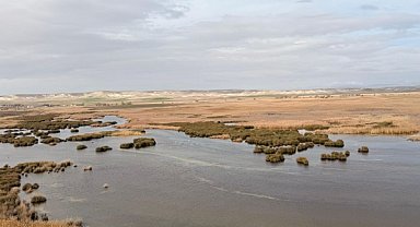 Eskişehir'de doğaya ve geleceğe yönelik etkinlik
