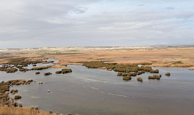 Eskişehir'de doğaya ve geleceğe yönelik etkinlik